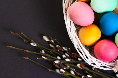 Colored Easter eggs in basket and willow branches on black background Stock Photos