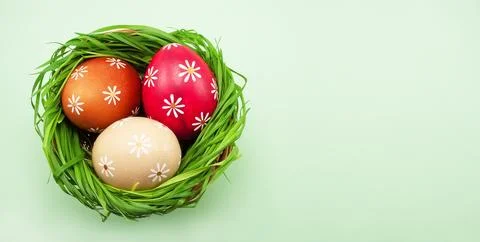 Colored Easter eggs in a basket with green grass on a light green colored t.. Stock Photos