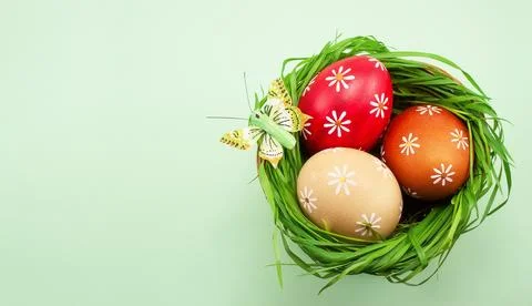 Colored Easter eggs in a basket with green grass on a light green colored t.. Stock Photos