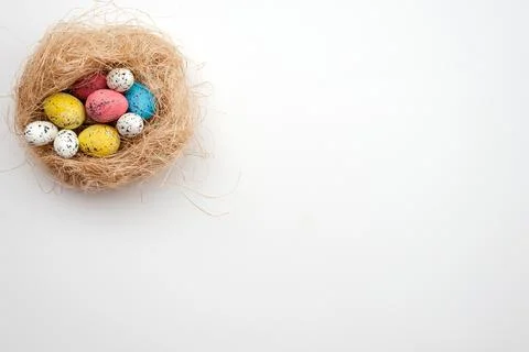 Colored easter eggs in bird`s nest on a white background. Stock Photos