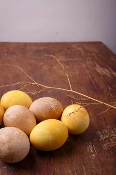 Colored easter eggs on brown rustic table. DIY Easter eggs coloring Stock Photos