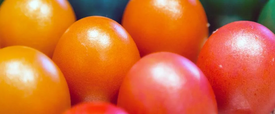 Colored Easter eggs in egg carton holder Stock Photos