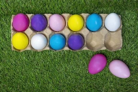 Colored Easter eggs in egg carton on grass with paint brushes Stock Photos
