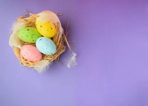 Colored Easter eggs with feathers in a nest on a purple background Stock Photos
