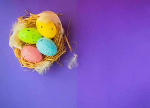 Colored Easter eggs with feathers in a nest on a purple background Stock Photos