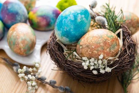 Colored easter eggs in forest nest and willow Stock Photos