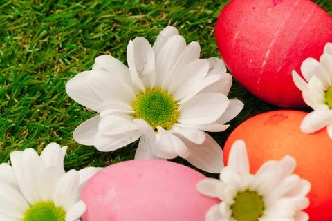 Colored Easter eggs on grass decorated with flowers Stock Photos