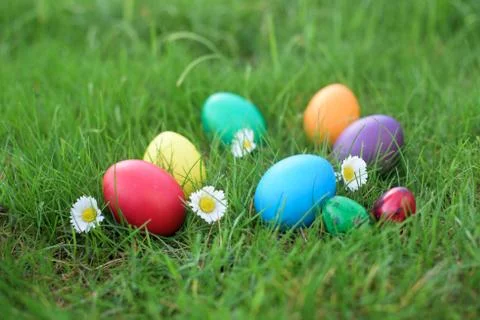 Colored Easter eggs in a grass Stock Photos