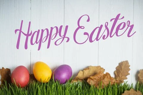 Colored Easter eggs on the grass Stock Photos