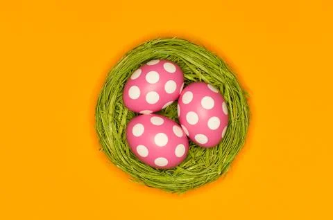 Colored easter eggs in a green nest Stock Photos