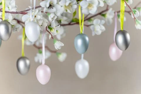 Colored Easter eggs hanging on branch with white flowers Stock Photos