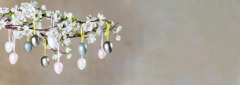 Colored Easter eggs hanging on branch with white flowers Stock Photos
