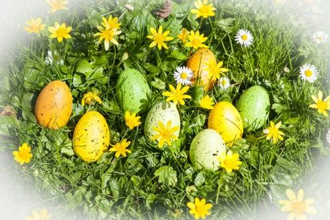 Colored Easter eggs hidden in flowers and grass Stock Photos