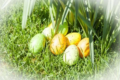 Colored Easter eggs hidden in flowers and grass Stock Photos