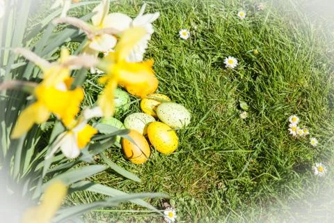 Colored Easter eggs hidden in flowers and grass Stock Photos