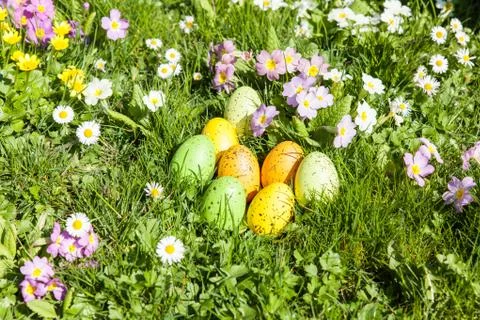 Colored Easter eggs hidden in flowers and grass Stock Photos