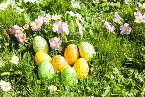 Colored Easter eggs hidden in flowers and grass Stock Photos