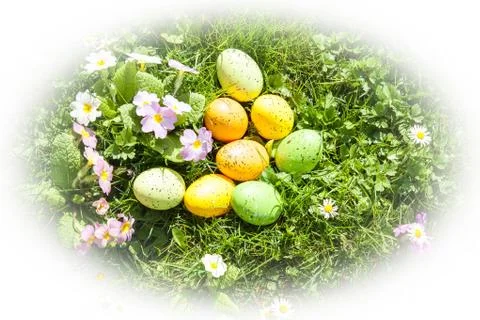 Colored Easter eggs hidden in flowers and grass Stock Photos