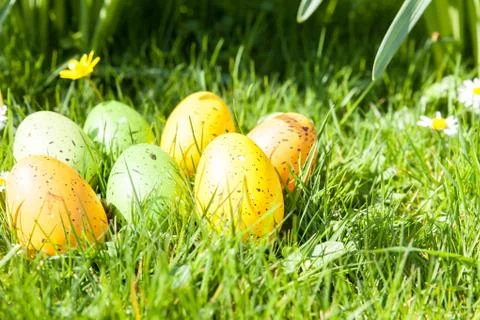Colored Easter eggs hidden in flowers and grass Stock Photos
