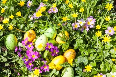 Colored Easter eggs hidden in flowers and grass Stock Photos