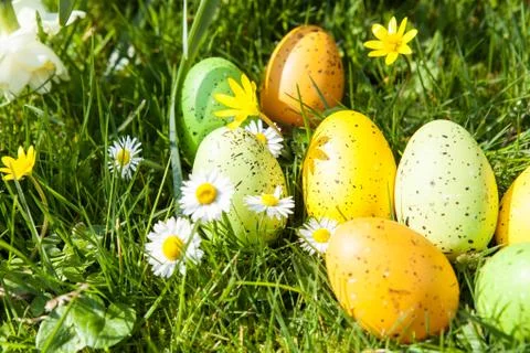 Colored Easter eggs hidden in flowers and grass Stock Photos