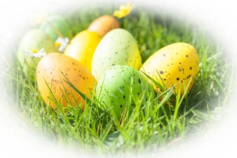 Colored Easter eggs hidden in flowers and grass Stock Photos