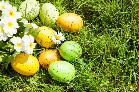 Colored Easter eggs hidden in flowers and grass Stock Photos