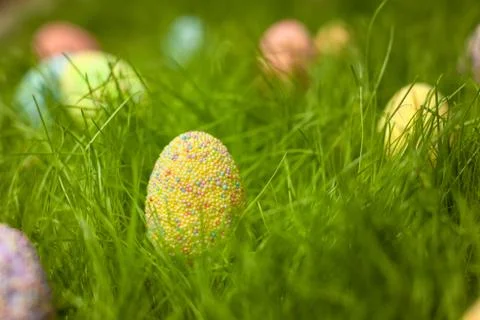Colored Easter eggs on the lawn in the green grass Stock Photos