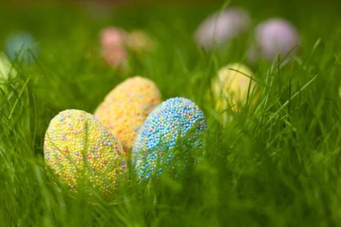Colored Easter eggs on the lawn in the green grass Stock Photos