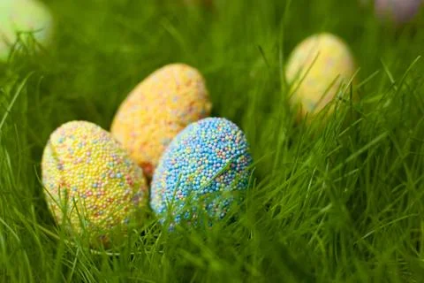 Colored Easter eggs on the lawn in the green grass Foto stock
