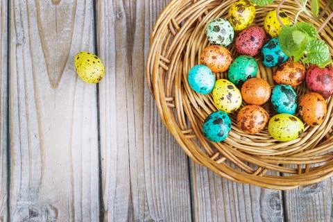 Colored easter eggs on a light background,place for text Stock Photos