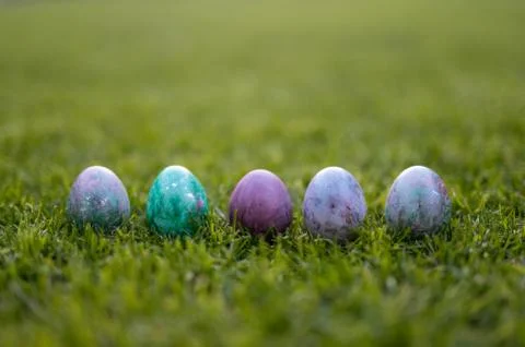 Colored easter eggs lying in a row on the grass Stock Photos