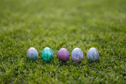 Colored easter eggs lying in a row on the grass Stock Photos