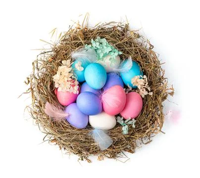 Colored Easter eggs in a nest with feathers and flowers isolated on a white b Stock Photos