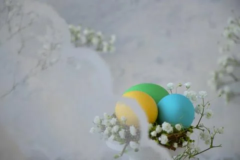 Colored Easter eggs in nest with white small flowers through lace curtain. .. Stock Photos