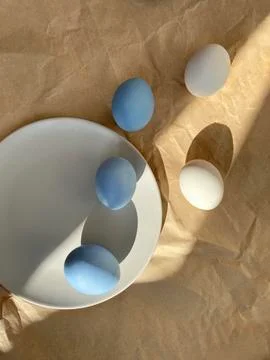 Colored Easter eggs on plate on day light Stock Photos