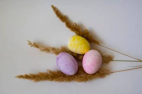Colored easter eggs on a white background Stock Photos