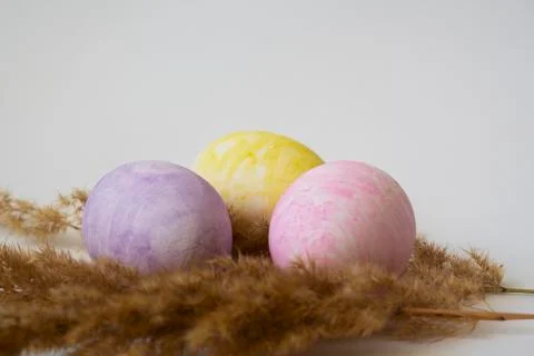 Colored easter eggs on a white background Stock Photos