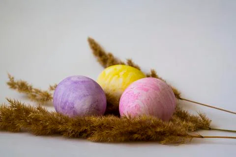 Colored easter eggs on a white background Stock Photos