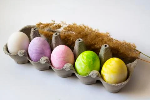 Colored easter eggs on a white background Stock Photos