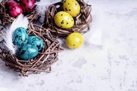 Colored Easter quail eggs with feathers in a nest on gray marble background Stock Photos