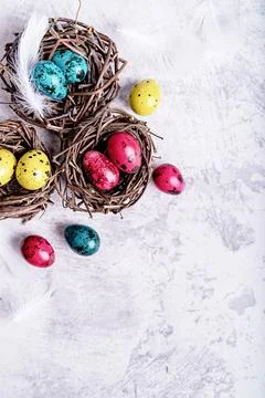 Colored Easter quail eggs with feathers in a nest on gray marble background t Stock Photos