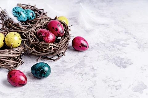 Colored Easter quail eggs with feathers in a nest on gray marble background w Stock Photos