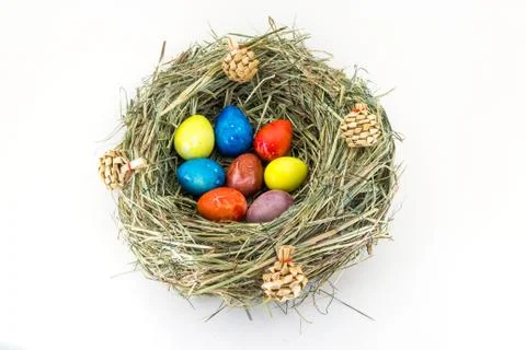 Colored easter quail eggs in grass nest with bumps Stock Photos