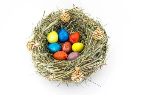 Colored easter quail eggs in grass nest with bumps Stock Photos