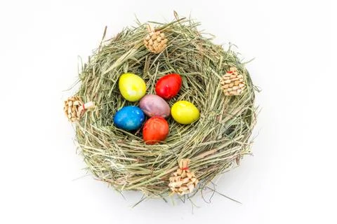 Colored easter quail eggs in grass nest with bumps Stock Photos