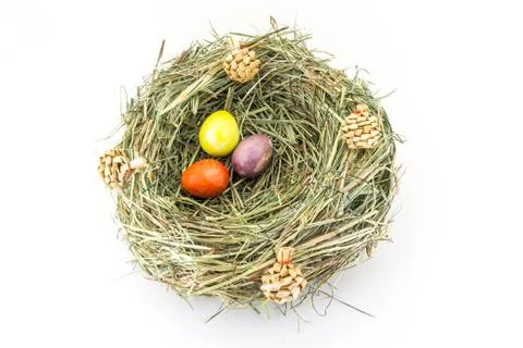 Colored easter quail eggs in grass nest with bumps Stock Photos