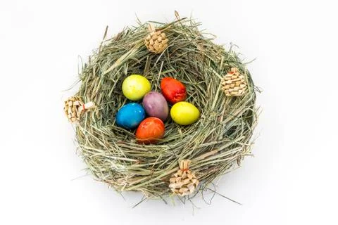 Colored easter quail eggs in grass nest with bumps Stock Photos