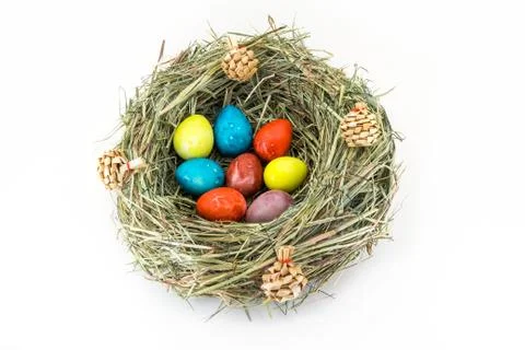Colored easter quail eggs in grass nest with bumps Stock Photos