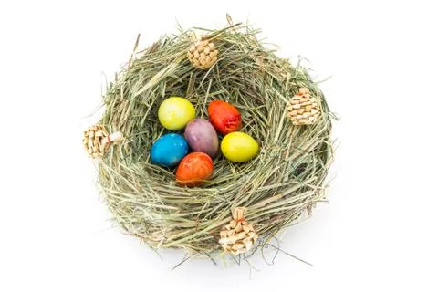 Colored easter quail eggs in grass nest with bumps Stock Photos